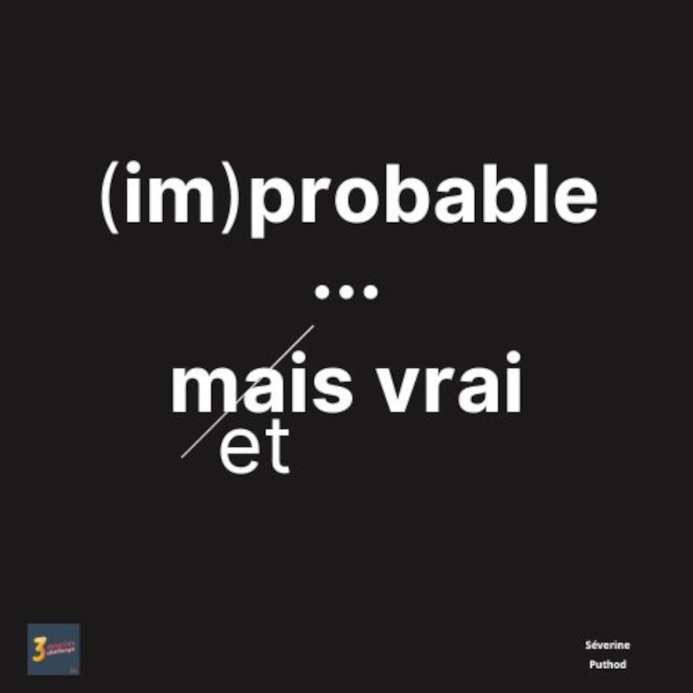 Thème 13 - La participation de Séverine - Improbable mais vrai