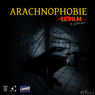 Thème 4 - La participation de Séverine - Arachnophobie