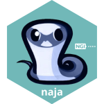 Democratizing Chip Design - Naja