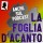 La Foglia d'Acanto: recensioni senza spoiler!