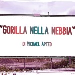 “Gorilla nella nebbia” di Michael Apted (1988)
