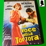Recensione del film "La voce della tortora" di Irving Rapper (1948)