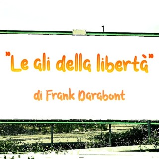 Recensione del film "Le ali della libertà" di Frank Darabont (1994)