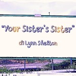 Recensione del film "Your Sister's Sister" di Lynn Shelton (2011)