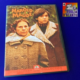 Recensione film “Harold e Maude” di Hal Ashby (1971)