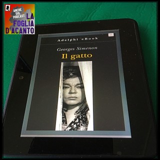 Recensione “Il gatto” di Georges Simenon (1966)