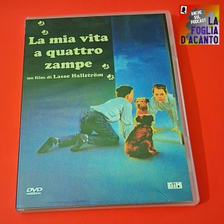Recensione “La mia vita a quattro zampe” di Lasse Hallström (1985)