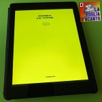 Recensione “Le cose: una storia degli anni Sessanta” di Georges Perec (1965)