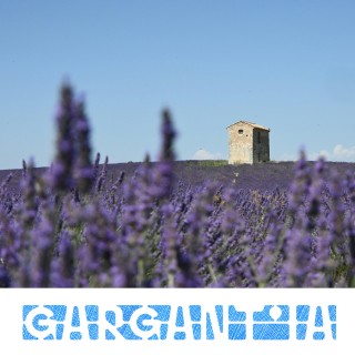 n°4 – 112 millions d’euros pour introduire l’IA dans les villages de Provence