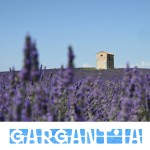 n°4 – 112 millions d’euros pour introduire l’IA dans les villages de Provence