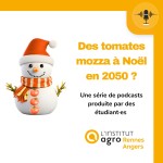 Prise de recul sur les scénarios et sur la production de tomates sous serres en hiver