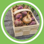 #007 - Loredana Collura - L'alimentation durable (FR)