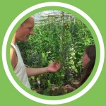 #024 - FrÃ©dÃ©ric Morand - Vert d'Iris (FR)