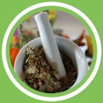 #066 - Julie Bernard - La tisane du centenaire (FR)