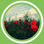 #069 - Julie Bernard - Les aphrodisiaques au naturel: Ã©pisode 2 (FR)