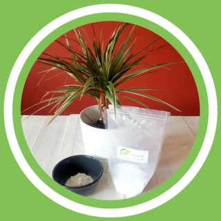 #084 - Julie Bernard - Le Bicarbonate de sodium - dit de soude (FR)