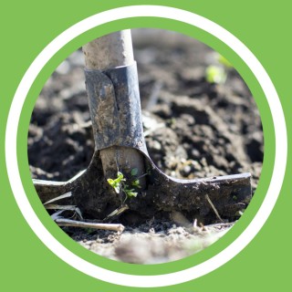 #088 - Jeanne Delaurent - DÃ©buter un projet de culture (FR)