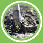 #088 - Jeanne Delaurent - DÃ©buter un projet de culture (FR)