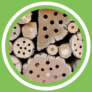 #090 - Jeanne Delaurent - Favoriser la biodiversitÃ©, l'effet de bordure (FR)