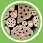 #090 - Jeanne Delaurent - Favoriser la biodiversitÃ©, l'effet de bordure (FR)