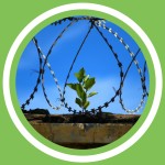 #094 - MÃ©thode Archi Sain : 004 - 6 facteurs de l'addiction alimentaire (FR)