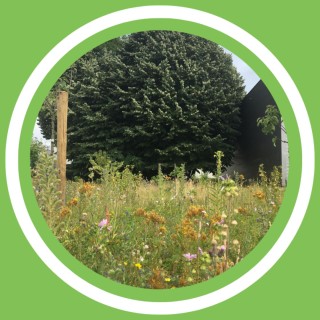 #127 - Jovelyn Lecomte & Julien Paps - Plaisir Vert #002 : Le projet de forÃªt comestible Ã  transforma bxl (FR)