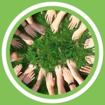 #131 - Didier Boulvin (MaÃ®tre composteur) - Le compost collectif (FR)