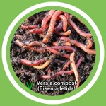 #133 - Didier Boulvin (MaÃ®tre composteur) - Le vermicompost (FR)