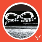 #043 - Groovy Coolies | Electronic vibes and travels (ENG)