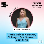 Trans Voices Cabaret, Chicago: Our Space to Just Sing