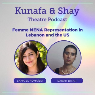 Femme MENA Representation in Lebanon and the United States