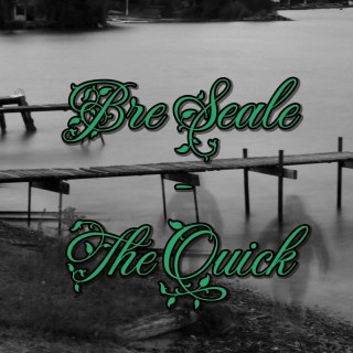 Bre Seale On The Quick