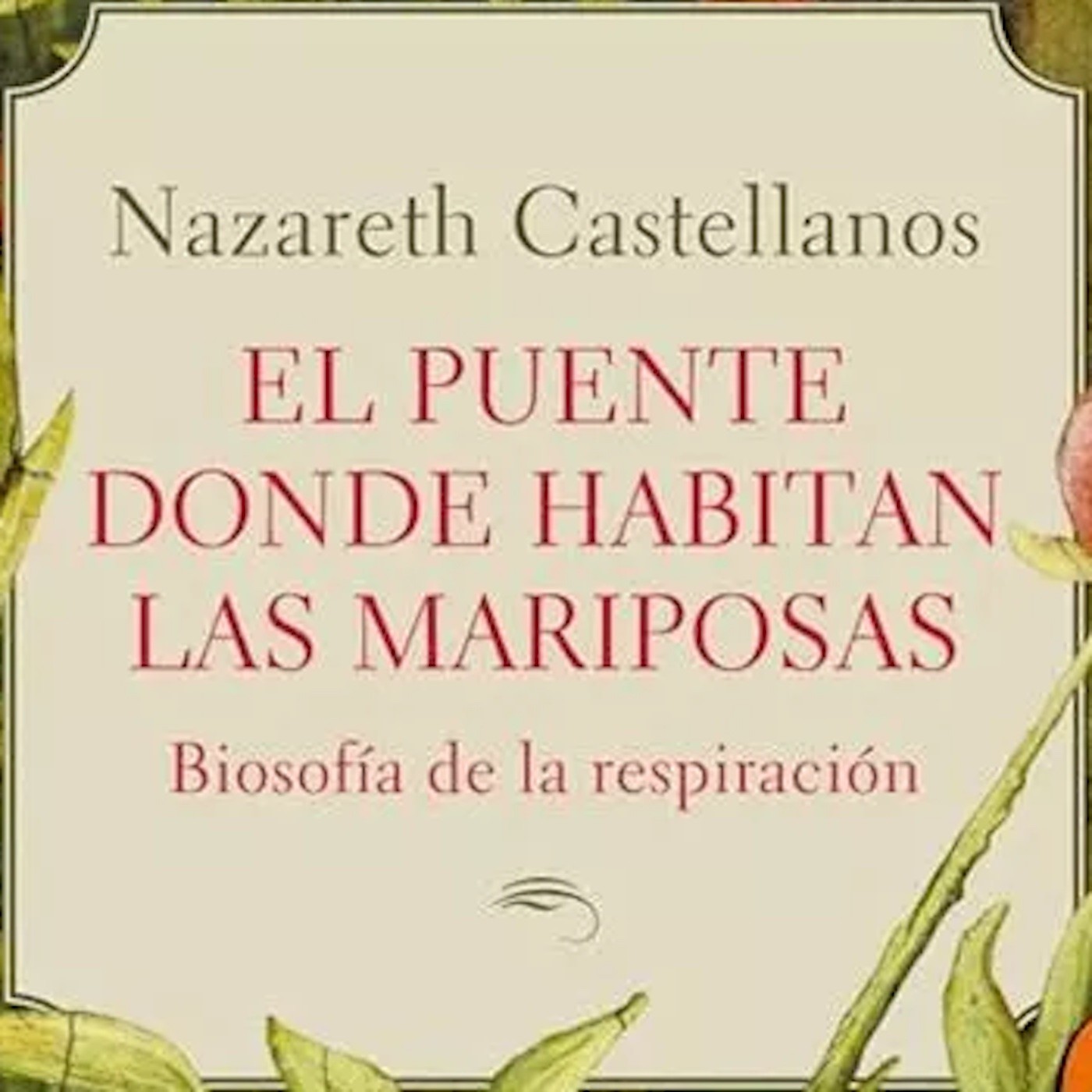 HardCuore#481. El puente donde habitan las mariposas |  Nazareth Castellanos episode artwork