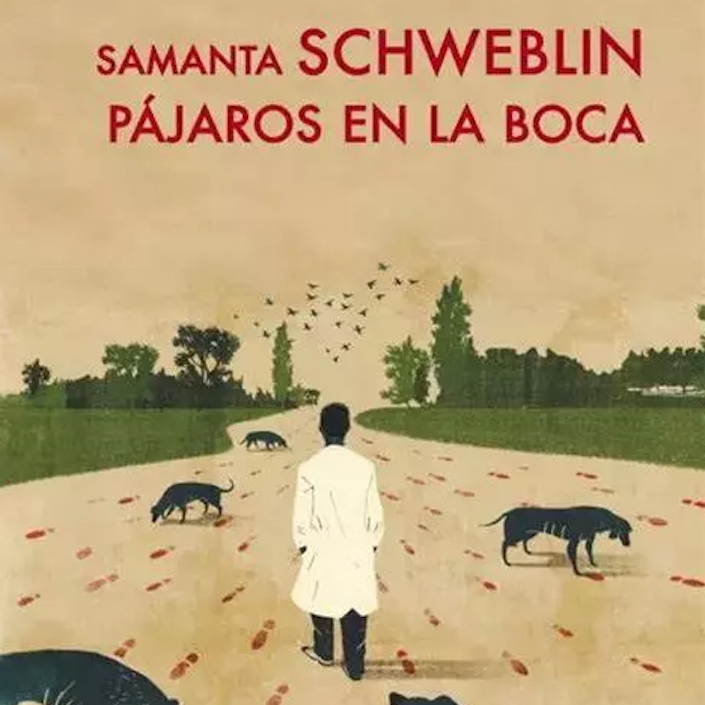 La Gallina Ciega #044. Pájaros en la boca, de Samantha Schweblin #cuentos episode artwork